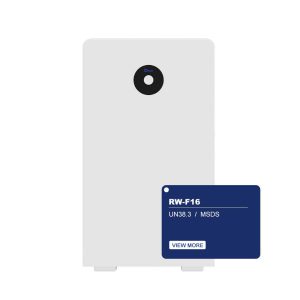 Deye Lithium Battery - Rw-F16