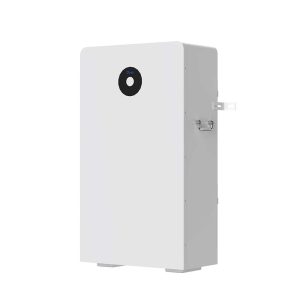 Deye Lithium Battery - Rw-F16